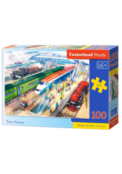 Puzzle 100 Train Station CASTOR