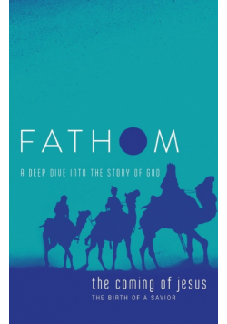 Fathom Bible Studies