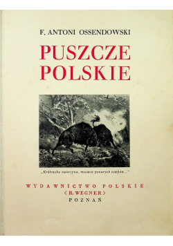 Puszcze Polskie ok 1934