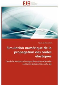Simulation numérique de la propagation des ondes élastiques