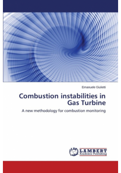 Combustion instabilities in Gas Turbine