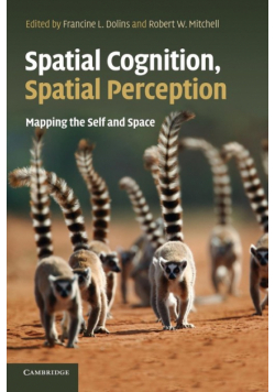 Spatial Cognition, Spatial Perception