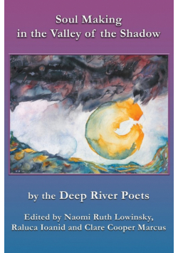 Soul Making in the Valley of the Shadow