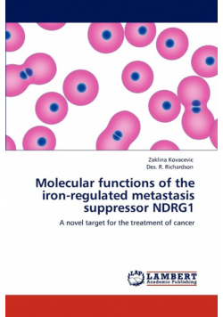 Molecular functions of the iron-regulated metastasis suppressor NDRG1