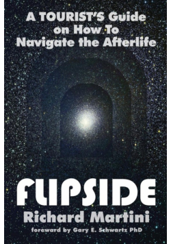 Flipside