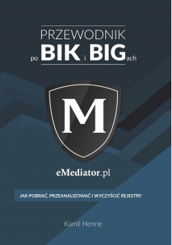 Przewodnik po BIK i BIGach