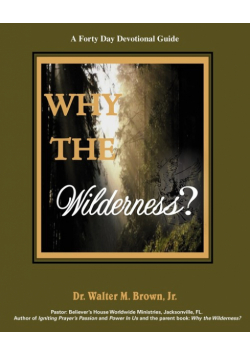 Why the Wilderness