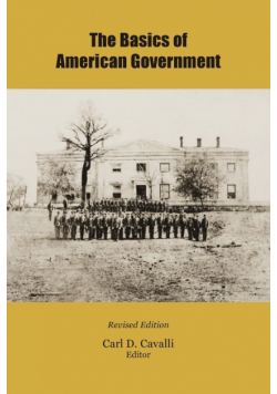 The Basics of American Government