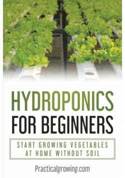 Hydroponics for Beginners