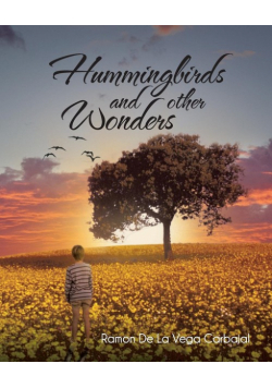 Hummingbirds and Other Wonders