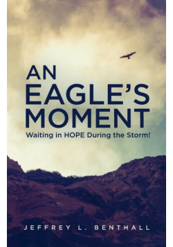 An Eagle's Moment
