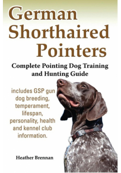 German Shorthaired Pointers