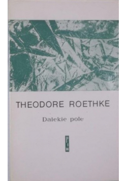 Dalekie pole
