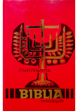Biblia młodych