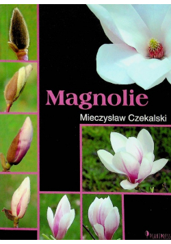 Magnolie