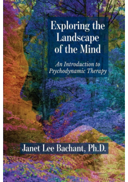 Exploring the Landscape of the Mind