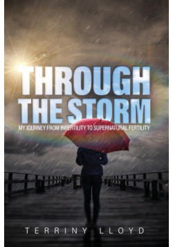 Through the Storm