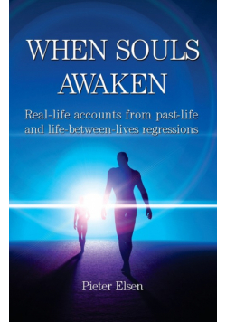 When Souls Awaken; Real-life accounts of past-life and life-between-lives regressions