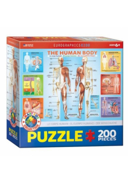 Puzzle 200 Smart kids - Ciało człowieka (XXL)