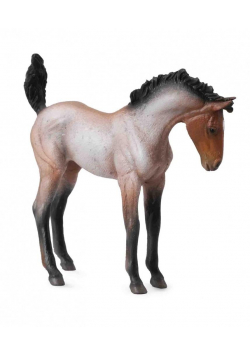 Koń źrebię Mustang maści gniadej