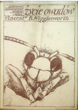 Życie owadów