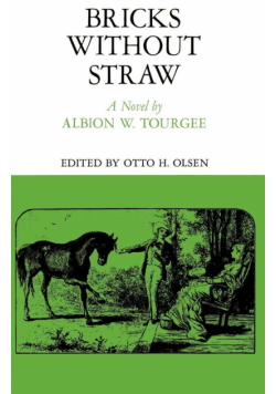 Bricks Without Straw