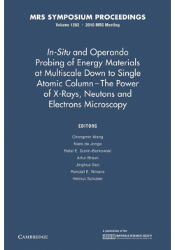 In-Situ and Operando Probing of Energy Materials at Multiscale Down to Single Atomic Column - The Power of X-Rays, Neutrons and Electron Microscopy