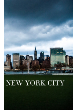 Iconic Manhattan  skyline New York  City  Drawing  Writing Journal