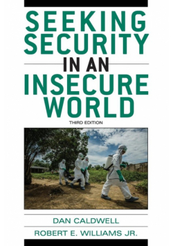 Seeking Security in an Insecure World