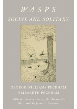 Wasps - Social and Solitary;With an Introduction by John Burroughs - Illustrated by James H. Emerton