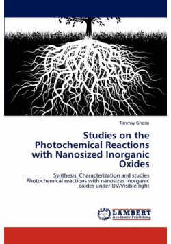Studies on the Photochemical Reactions with Nanosized Inorganic Oxides