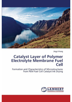 Catalyst Layer of Polymer Electrolyte Membrane Fuel Cell