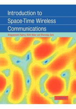 Introduction to Space-Time Wireless Communications