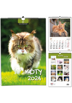 Kalendarz 2024 B3 7 plansz Koty