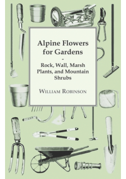 Alpine Flowers For Gardens - Rock, Wall, Marsh Plants, And Mountain Shrubs