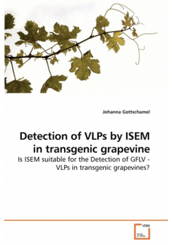 Detection of VLPs by ISEM in transgenic grapevine