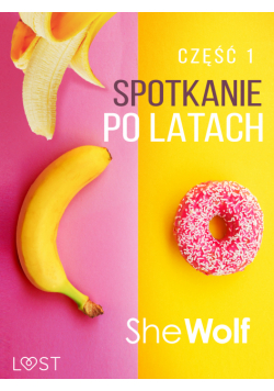 Spotkanie po latach 1 – opowiadanie erotyczne