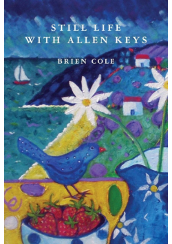 Still Life with Allen Keys