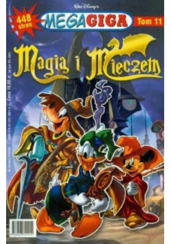 Magią i mieczem tom 11