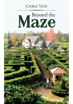 Beyond the Maze