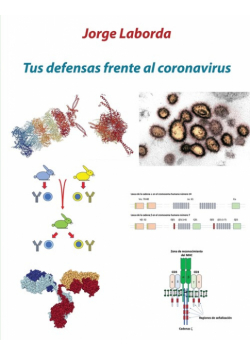 Tus defensas frente al coronavirus