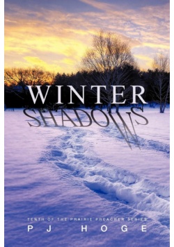Winter Shadows