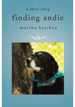 finding andie