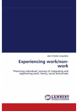 Experiencing work/non-work