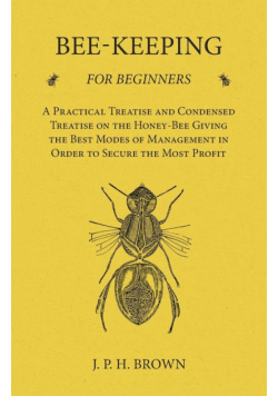 Bee-Keeping for Beginners - A Practical Treatise and Condensed Treatise on the Honey-Bee Giving the Best Modes of Management in Order to Secure the Most Profit