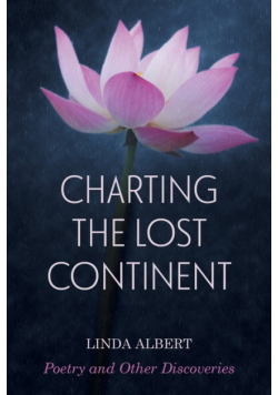 Charting the Lost Continent
