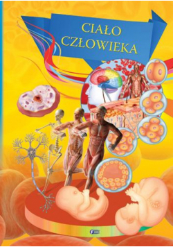 Ciało człowieka TW