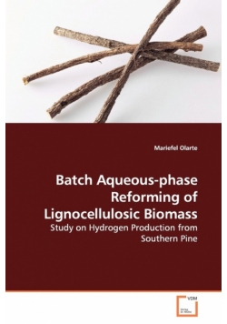 Batch Aqueous-phase Reforming of Lignocellulosic Biomass