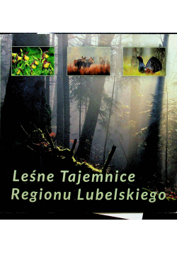 Leśne tajemnice regionu Lubelskiego