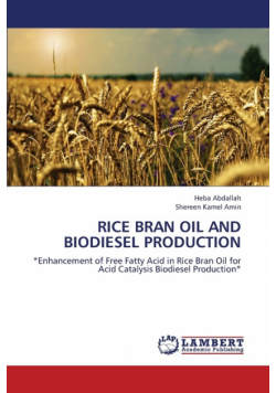 Rice Bran Oil and Biodiesel Production